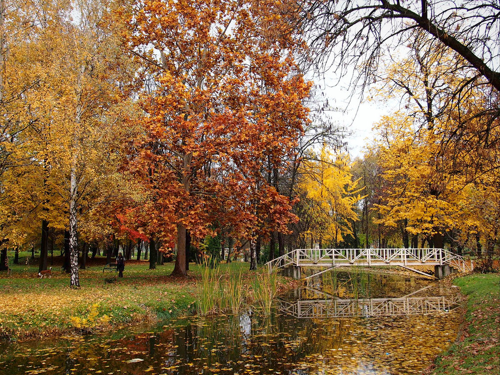 City Park
